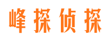 通榆外遇调查取证